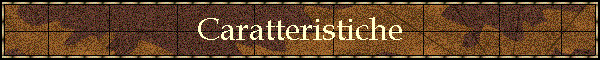Caratteristiche